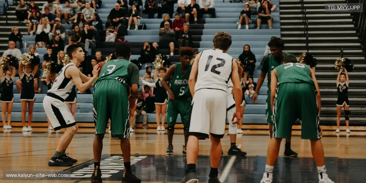 体育内容输出毫不噪点干扰